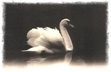 by Jeanie Chadwick