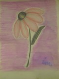 by nives vodiaek