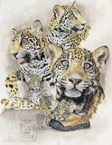 by Barbara Keith