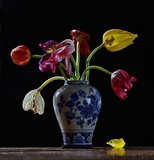 by Paul van der Lugt