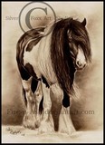 by Charlie Applegate