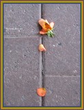 by Heli Aarniranta