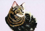 by Sue Massey