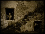 by Alen Milanovic