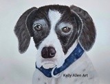 by Kelly Allen