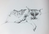 by ineke smienk