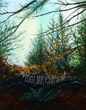 by Mary Kay Ebersold