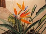 by Sharon De Vore
