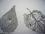 by Marika Rozalia Seprenyi