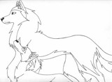 by Wolfhusky S.