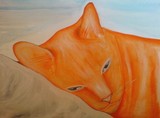 by karen spooner