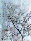 by Stefani Wehner