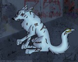 by Dual Qyrineg