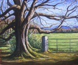 by DEBORAH OKEEFFE