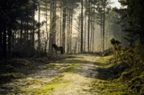 by Duncan James