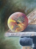 by Jose Velasquez