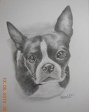 by Sheral Fernandes