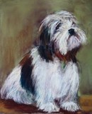 by Joan  Wulff