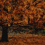 by Deborah Rosier