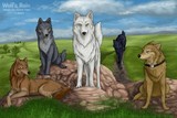 by Akela Taka