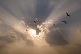 by Vidhya Jeganmohan