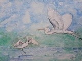 by Patricia Elgee