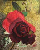 by Thomas  Tidwell