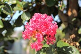 by Debra Kott