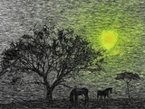 by Jesus Conchello