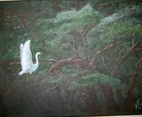 by vicki reynolds