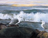 by Emilio Bandera