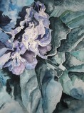 by Sharla Derry