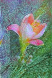 by Kathy Flood