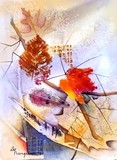 by Dianne Nungesser