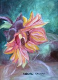 by Carole Clark