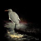 by Mary Arneson