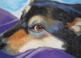 by shirley galbrecht