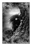 by Maj-Britt Simble