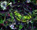 by stephanie hughes