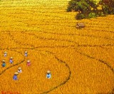 by Sunarto Srimartha
