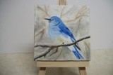by cindy kelly
