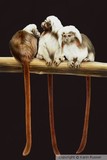 by Karin Russer