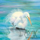 by Laura Curtin
