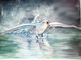 by Tanya Lundmark