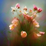 by Elizabeth Mix