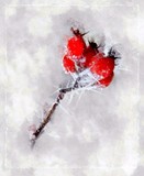 by Pavel Potocek