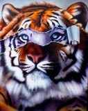 by scott spillman