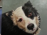 by Michele Kurtz