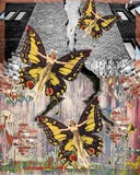 by Tai Taylor