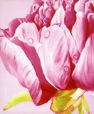 by Diane  Jorstad